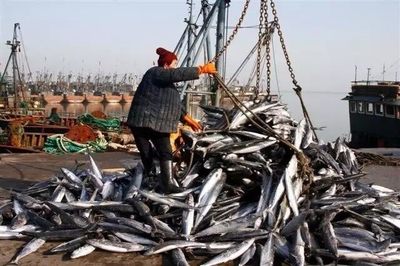 賦能深藍(lán) 海洋漁業(yè)機(jī)械納入農(nóng)機(jī)補(bǔ)貼，助推產(chǎn)業(yè)現(xiàn)代化升級